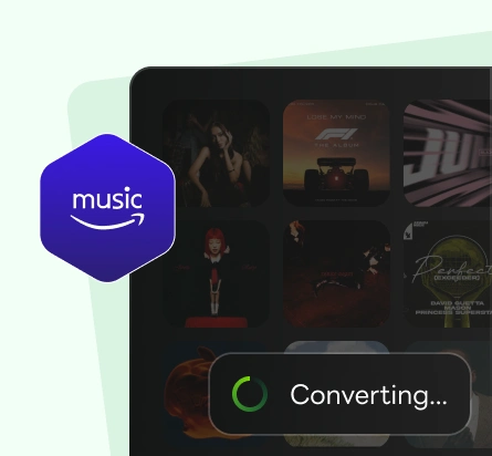 Amazon Music Downloaders