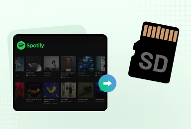 guardar música de Spotify en la tarjeta SD