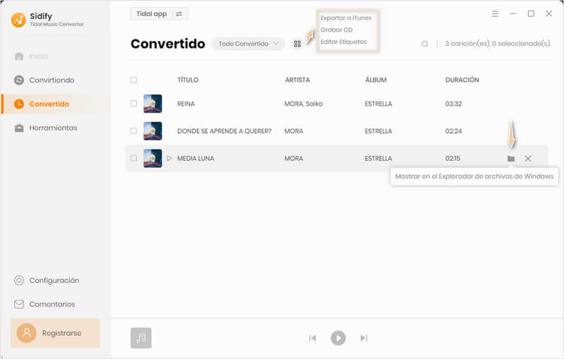 encontrar las canciones descargadas de Tidal