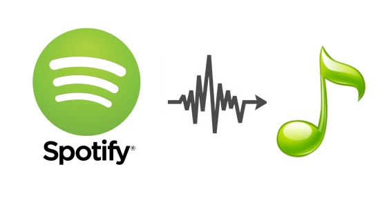 entrega a domicilio corte largo Seguro Convertir Música de Spotify a MP3 | Sidify