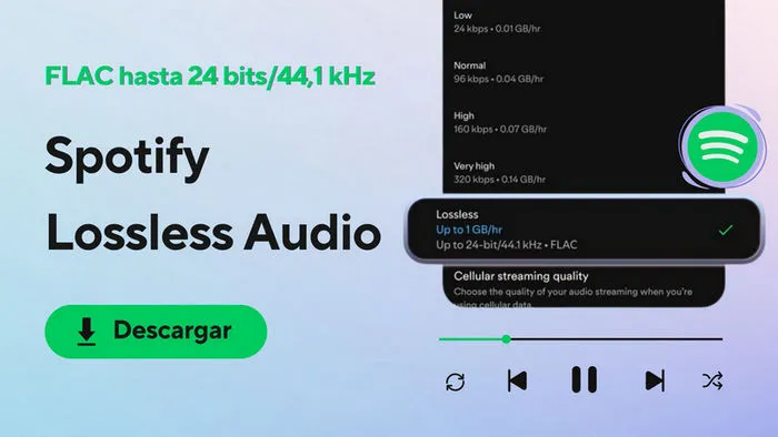 obtener spotify lossless audio