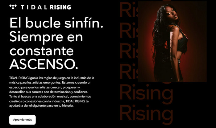 Remuneración de los artistas Tidal Rising