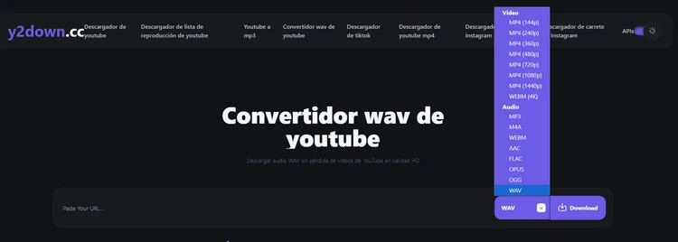 Y2down.cc youtube to wav