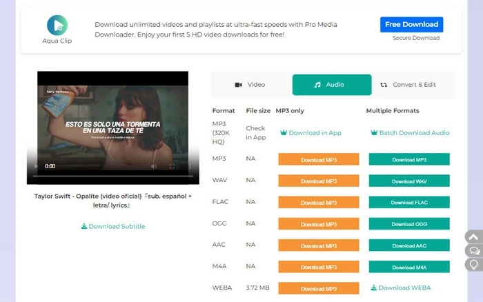 AceThinker youtube a mp3